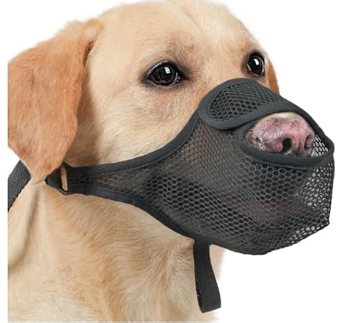 SHUOHONG Hunde Maulkorb, Nylon-Mesh, Atmungsaktiv und Bequem, Maulkorb für Große Hunde mit Verstellbaren Trägern, Maulkorb Mittlere Hunde, Maulkorb Kleine Hunde, Maulkörbe für Hunde (Schwarz-L) von SHUOHONG