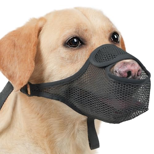 SHUOHONG Hunde Maulkorb, Nylon-Mesh, Atmungsaktiv und Bequem, Maulkorb für Große Hunde mit Verstellbaren Trägern, Maulkorb Mittlere Hunde, Maulkorb Kleine Hunde, Maulkörbe für Hunde (Schwarz-XXL) von SHUOHONG