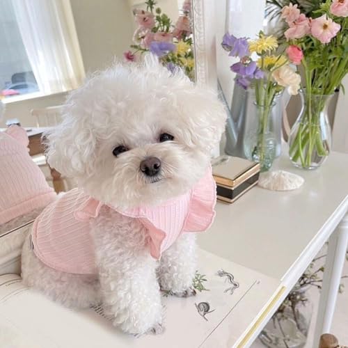 Y4Z8 Hundekleid, Zwergspitz, Bichon, Frize, Pudel, Schnauzer, Zubehör, für kleine Haustiere, atmungsaktiv, dünn, bequem, Y4Z8 von SHYKNYU