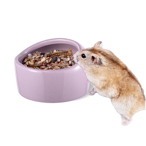 SHZMJL Keramik Hamster Futternapf Kleintierschale Keramik Futternapf Schüssel Verhindern Umklopfen, Futter Spritzen und Kauen Futternapf Haustierbedarf (Violett) von SHZMJL