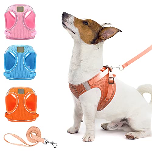 SIMENA Geschirr und Leine Set, No-Pull Hundegeschirr mit reflektierenden Bändern für Hunde und Katzen, weiches und atmungsaktives Katzengeschirr (Orange, S) von SIMENA