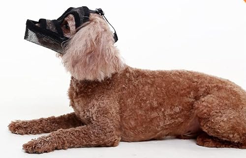 Maulkorb Hunde Atmungsaktiv Maulkörbe Verstellbar Hundemundabdeckung Fressschutz Mesh Hundemaulkorb Verhindert Beißen HundeMaulkorb Sicher Korbmaulkorb für Mittelgroße Große Hunde von SIQITECH