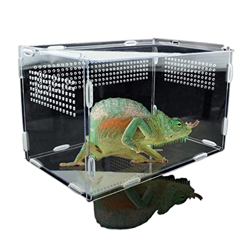 Reptil Fütterungsbox Terrarium Amphibien Brutbox transparent Reptilienzuchtbox Insekten Beobachtungsbox Spinne Eidechse Igel Zuchtinkubator Reptilienzuchtbox Reptilienfütterung (Color : 20X15X15cm) von SISWIM