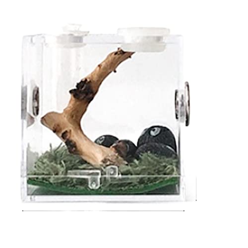 Reptil Fütterungsbox Terrarium Amphibien Futterbox Kleine Reptilien Zuchtbox Transparenter Acrylkäfig Lebensraum Insektenfutterbox Futterbox for Spinnen Reptilienzuchtbox Reptilienfütterung ( Color : von SISWIM