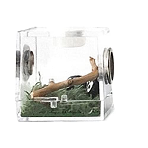 Reptil Fütterungsbox Terrarium Amphibien Futterbox Kleine Reptilien Zuchtbox Transparenter Acrylkäfig Lebensraum Insektenfutterbox Futterbox for Spinnen Reptilienzuchtbox Reptilienfütterung ( Color : von SISWIM