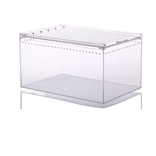 Reptil Fütterungsbox Terrarium Amphibien Futterbox Reptile Feeder Großer Acryl Transparenter Schiebedeckel Reptile Box Spinnen Eidechsen Futterbox Reptilienzuchtbox Reptilienfütterung ( Color : 30x20x von SISWIM