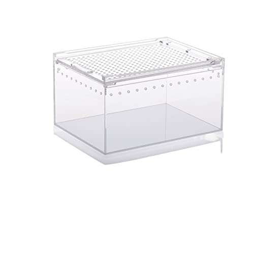 Reptil Fütterungsbox Terrarium Amphibien Futterbox Reptile Feeder Großer Acryl Transparenter Schiebedeckel Reptile Box Spinnen Eidechsen Futterbox Reptilienzuchtbox Reptilienfütterung ( Color : 20x15x von SISWIM