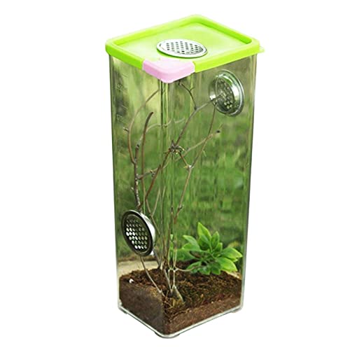 Reptil Fütterungsbox Terrarium Amphibien Futterbox Reptile Feeder Transparente Acryl Reptile Feeder Pet Home Futterbox for Spinnen und Skorpione Reptilienzuchtbox Reptilienfütterung ( Color : 10.5 8 2 von SISWIM