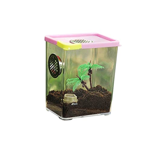 Reptil Fütterungsbox Terrarium Amphibien Futterbox Reptile Feeder Transparente Acryl Reptile Feeder Pet Home Futterbox for Spinnen und Skorpione Reptilienzuchtbox Reptilienfütterung ( Color : 10.5 8 1 von SISWIM