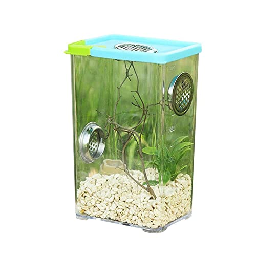 Reptil Fütterungsbox Terrarium Amphibien Futterbox Reptile Feeder Transparente Acryl Reptile Feeder Pet Home Futterbox for Spinnen und Skorpione Reptilienzuchtbox Reptilienfütterung ( Color : 10.5 8 1 von SISWIM