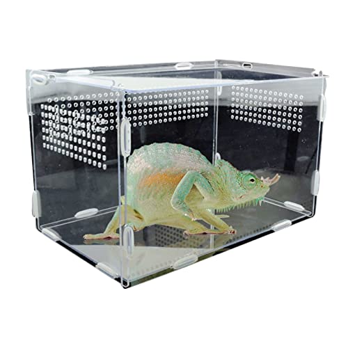 Reptil Fütterungsbox Terrarium Amphibien Futterbox Reptilienzuchtbox Transparent Acryl Reptilienbox Spinnen Eidechsen Grillen Futterbox Reptilienzuchtbox Reptilienfütterung (Color : Small) von SISWIM