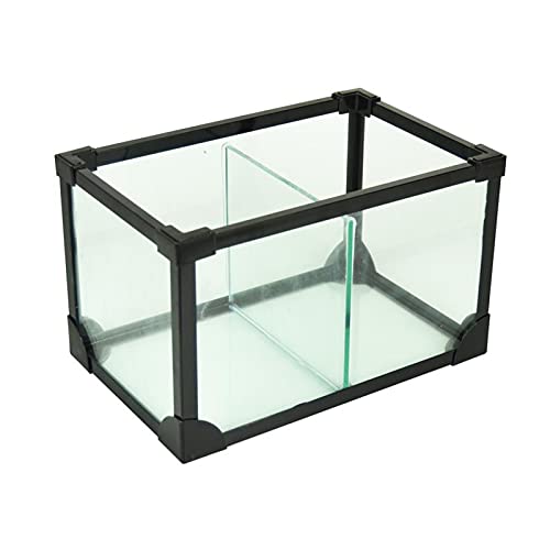 Reptil Fütterungsbox Terrarium Amphibien Schildkröte- und Fisch-Polykultur-Tank, Glas amphibischen Tank, kreative, kreative Dual-Use-kleine Schildkröten- und Zierfisch-Spezial-Fischtank mit Filter Rep von SISWIM