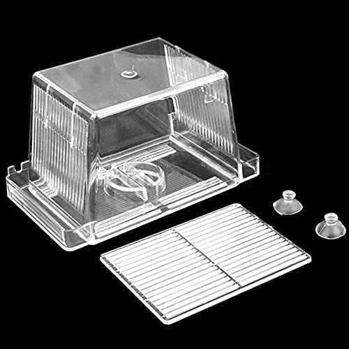 Reptil Fütterungsbox Terrarium Amphibien Turtle Aquarium Tank Pet Turtle Panzer Tank Turtles Reptil Habitat Safe, langlebig Reptilienzuchtbox Reptilienfütterung (Size : Small) von SISWIM