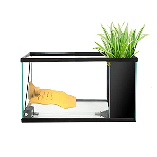 Reptil Fütterungsbox Terrarium Amphibien Turtle-Tank Wohnzimmer Home Kleiner Haushalt ökologischer Turtle-Tank Reptilienzuchtbox Reptilienfütterung (Size : L) von SISWIM