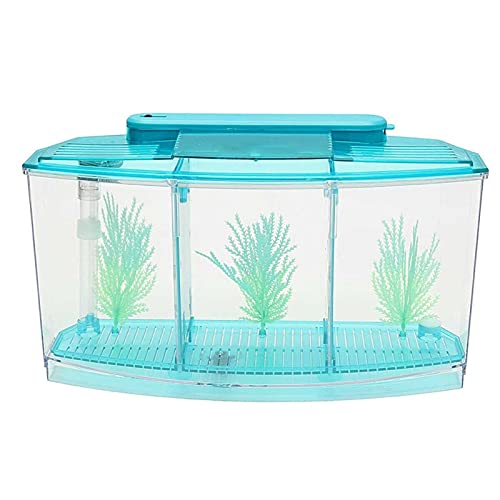 SISWIM Futterbox für Reptilien Reptil Habitat, Turtle Habitat Terrapin Lake Reptile Aquarium Tank (ohne Zubehör Reptilienzuchtbox (Color : Blauw) von SISWIM