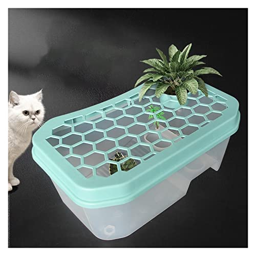 SISWIM Reptil Fütterungsbox Terrarium Amphibien Futterbox Mini-Tank mit Sonnenschutzplattform Multi-Region Design Habitat Aquarium Pet Tools Reptilienzuchtbox Reptilienfütterung (Color : Blue lid) von SISWIM