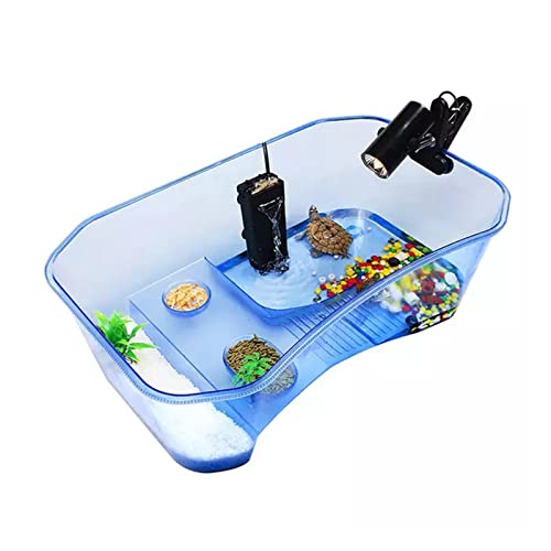 SISWIM Reptil Fütterungsbox Terrarium Amphibien Futterbox Reptilienbox Aquarium mit Sonnenschutz for Skorpione, Gottesanbeterin, Spinnen Reptilienzuchtbox Reptilienfütterung (Color : Blauw) von SISWIM