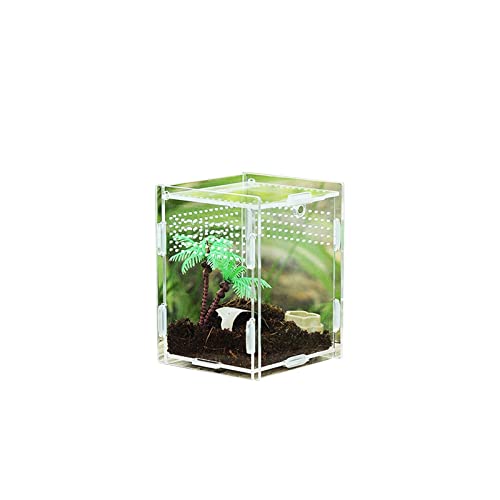 SISWIM Reptil Fütterungsbox Terrarium Amphibien Futterbox transparente Reptilien-Zuchtbox Acryl-Futterbox 360 Grad transparente Pet Crawl Box Reptilienzuchtbox Reptilienfütterung (Color : 7x8x10CM) von SISWIM