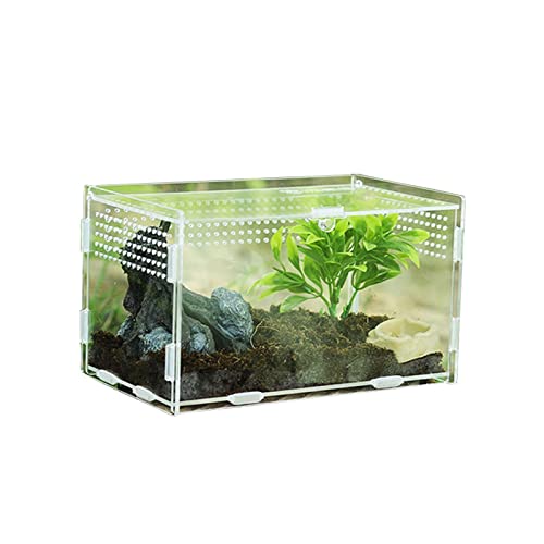 SISWIM Reptil Fütterungsbox Terrarium Amphibien Futterbox transparente Reptilien-Zuchtbox Acryl-Futterbox 360 Grad transparente Pet Crawl Box Reptilienzuchtbox Reptilienfütterung (Color : 20x12x12CM) von SISWIM