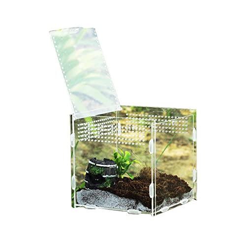 SISWIM Reptil Fütterungsbox Terrarium Amphibien Futterbox transparente Reptilien-Zuchtbox Acryl-Futterbox 360 Grad transparente Pet Crawl Box Reptilienzuchtbox Reptilienfütterung (Color : 15x15x15CM) von SISWIM