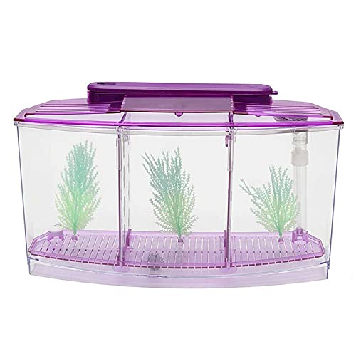 SISWIM Reptil Fütterungsbox Terrarium Amphibien Reptil Habitat, Turtle Habitat Terrapin Lake Reptile Aquarium Tank (ohne Zubehör Reptilienzuchtbox Reptilienfütterung (Color : Purple) von SISWIM