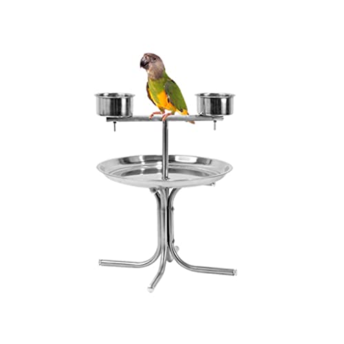 Vogelkäfig Papageiständer Edelstahl-Papagei-Ständer-Disc-Display-Stand-Macaw Wird for mittlere und große Papageien-Kanarische Liebesvögel verwendet Haustierzubehör (Size : S) von SISWIM