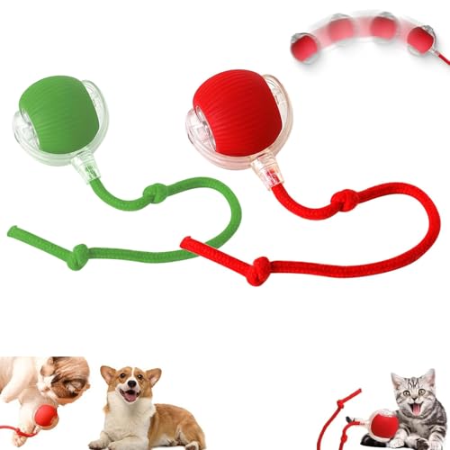 SIUVEY Pfotenstern Magic Ball,interaktiver Spielball Für Katzen,interaktiver Spielball Für Hunde,interaktiver Spielball Für Hunde,hundeball Elektrisch,interaktives Katzenspielzeug (2PCS) von SIUVEY