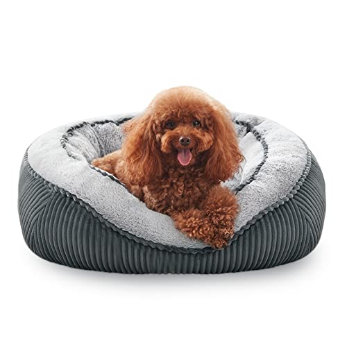 SIWA MARY Hundebett (X-Large) von SIWA MARY