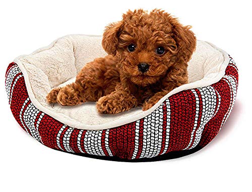 SJHDHDA Haustier Hund Katze Multifunktionale abnehmbare Matten Kissen Luxus weiche warme Betten Welpen Sofa Zwinger Pad Möbel für Hund Katze Korb-Picture_Color_57 * 52 * 14CM_ Learned extensively von SJHDHDA