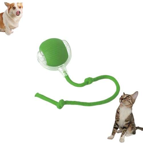 SJIESOG Chewie Viral Rolling Ball, Chewie Smart Automatic Rolling Pet Ball, Automatic 360° Rolling, Chewie Smart Automatic Rolling Pet Ball for Indoor Large Small Cats & Dogs (Green) von SJIESOG