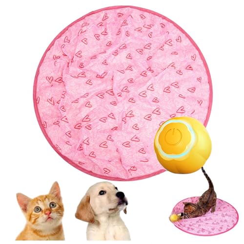 SJWJWOO 2 in 1 Simuliertes Interaktives Jagdkatzenspielzeug 2 in 1 Smart Simulated Interactive Cat Toy, Katzenspielzeug 2 in 1,A von SJWJWOO