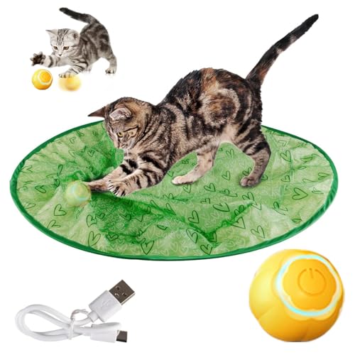 SJWJWOO 2 in 1 Simuliertes Interaktives Jagdkatzenspielzeug 2 in 1 Smart Simulated Interactive Katzen Spiel, Spiele Für Katzen,B von SJWJWOO