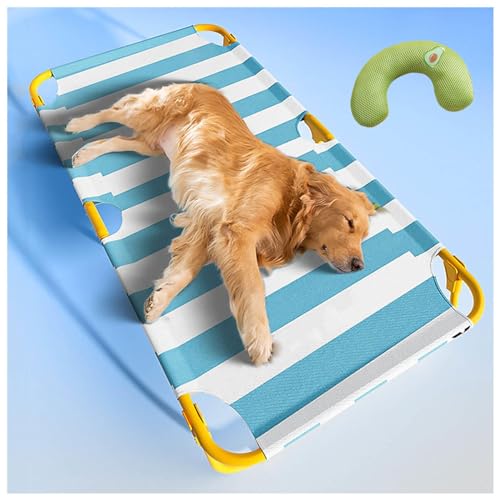 SJWJWOO Erhöhtes Hundebett mit Kissen, kein Zusammenbau erforderlich, kaufest, atmungsaktiv, kühlendes Hundebett, für drinnen und draußen, tragbar, Blau, XL 119 x 80 x 23 cm von SJWJWOO