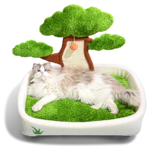 SJWJWOO Katzen Schlafplatz mit Natursisalturm Kratzpfosten, Kratzbaum mit abnehmbarem Kissen waschbares, Katzenbett Flauschig,B2(60×63×43CM) von SJWJWOO