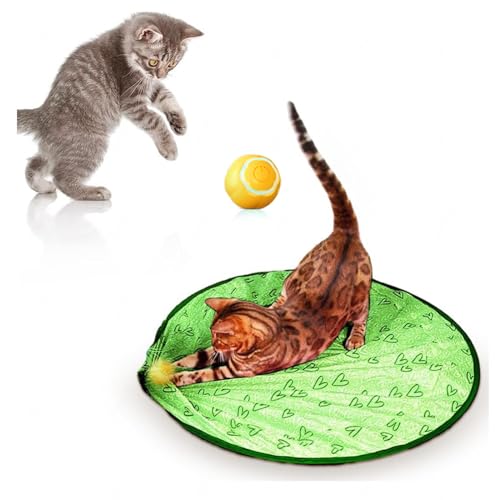 SJWJWOO Powerball 2.0 Katzenspielzeug-Ball, schnell rollend in Tasche, wiederaufladbares Katzenjagdspielzeug für Indoor-Katzen, B von SJWJWOO