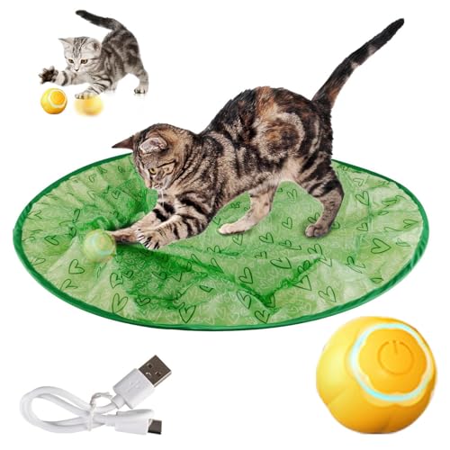 SJWJWOO Powerball 2.0 Katzenspielzeugball, schnell rollend in Tasche, interaktiver Ball für Katzen, wiederaufladbar, Katzenjagdspielzeug für Indoor-Katzen, B von SJWJWOO