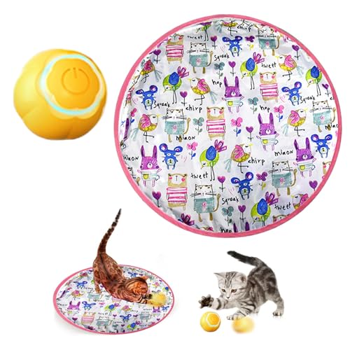 SJWJWOO Powerball 2.0 Katzenspielzeugball, schnell rollend in Tasche, interaktiver Ball für Katzen, wiederaufladbar, Katzenjagdspielzeug für Indoor-Katzen, C von SJWJWOO