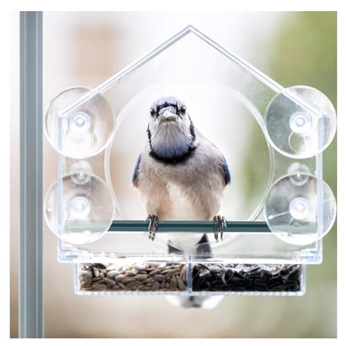 Vogelfutterstation mit Sichtfenster, starke Saugnäpfe mit Abflusslöchern, Vogelfutterstation, Fenster, abnehmbare Schale, Fenster, Vogelfutterstation, 180 Grad Innenansicht, Typ A von SJWJWOO