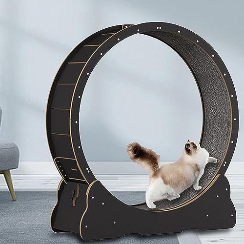 Cat Exercise Wheel Indoor Treadmill Small Animals Exercise Wheels,Für Drinnen Katzen,Sicherheits Katzen Laufrad Mit Schloss Und Minimiertem Spaltdesign,Black-L von SKIHOT