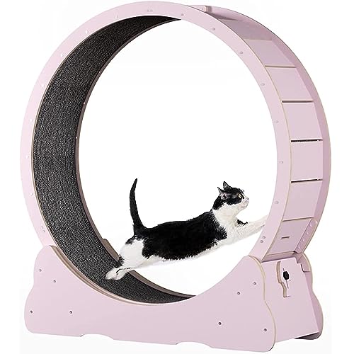 Cat Exercise Wheel Indoor Treadmill Small Animals Exercise Wheels,Für Drinnen Katzen,Sicherheits Katzen Laufrad Mit Schloss Und Minimiertem Spaltdesign,Pink-M von SKIHOT
