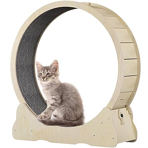 Cat Exercise Wheel Indoor Treadmill Small Animals Exercise Wheels,Für Drinnen Katzen,Sicherheits Katzen Laufrad Mit Schloss Und Minimiertem Spaltdesign,Woodcolor-XL von SKIHOT