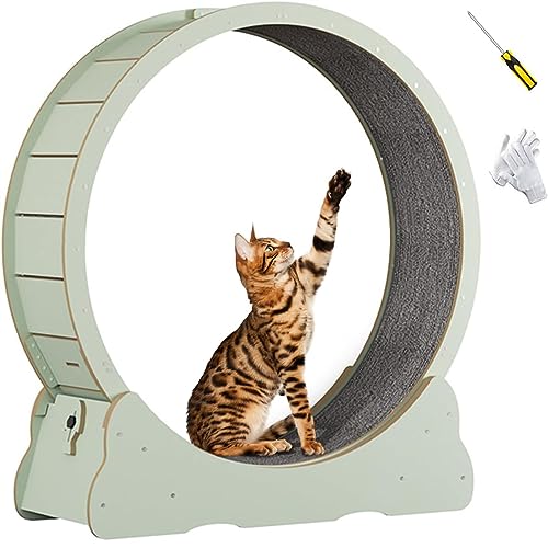 Katzenübungsrad Im Innenbereich,Katzen -Laufband Mit Verriegelungsmechanismus,TPE Leise Und Geräuschlose Rollen,Für Wohnzimmer/Schlafzimmer,Green-M von SKIHOT