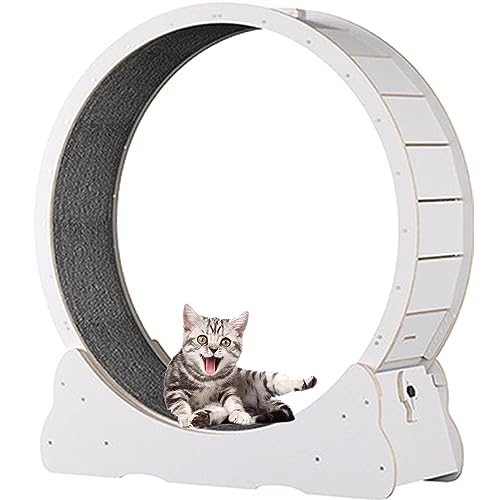 Katzenübungsrad Im Innenbereich,Katzen -Laufband Mit Verriegelungsmechanismus,TPE Leise Und Geräuschlose Rollen,Für Wohnzimmer/Schlafzimmer,White-S von SKIHOT