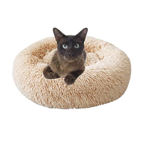 Beruhigendes Hundebett, Donut-Design, Plüsch, mit Reißverschluss, maschinenwaschbar, kleines Haustierbett für Hunde, Katzen, Kätzchen und Welpen, Beige 50 cm von SKRORS