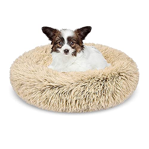 Plüsch-Donut-Haustierbett, beruhigendes Hundebett, Katzenbett, Donut, kleines Hundebett für Hunde, Katzen, Kätzchen und Welpen, maschinenwaschbar (50, Beige) von SKRORS