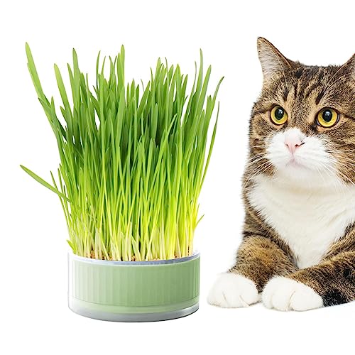 SKUDA Katzengras-Übertopf,Pflanzkasten, bodenfreier Katzenminze-Übertopf - Abnehmbare, bodenfreie Keimschale, Grasbox für Katzen, Hunde und andere Haustiere, Heimdekoration von SKUDA