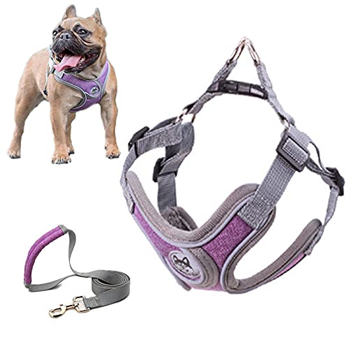 SKXEO Hundegeschirr für kleine Hunde, kein Ziehen, Hundegeschirr und Leine, verstellbar, atmungsaktiv, reflektierend, leicht, Haustierweste, einfache Kontrolle für Outdoor-Spaziergänge, Training von SKXEO