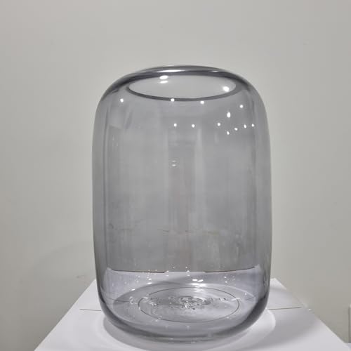 Glas-Pflanzen-Terrarium, 16,3 x 19,2 cm, Glasgefäß für Sukkulenten, Moos, Pflanzen-Terrarium, Landschaftsvase für Zuhause, Garten, Büro, Tischdekoration, Behälter mit Deckel für den Innenbereich von SKY TERRARIUM