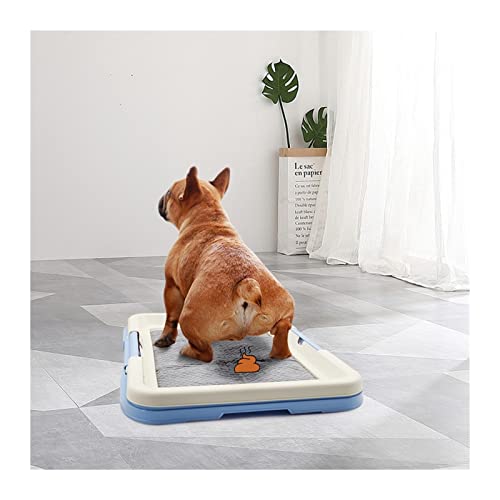 SLAHAJ Haustiermatte Hundetoilette Hundetraining Toilette Indoor Hunde Töpfchen Haustier Toilette Für Kleine Hunde Katzen Katze Wurf Box Welpen Pad Holder Tray Pet Supplies(1) von SLAHAJ