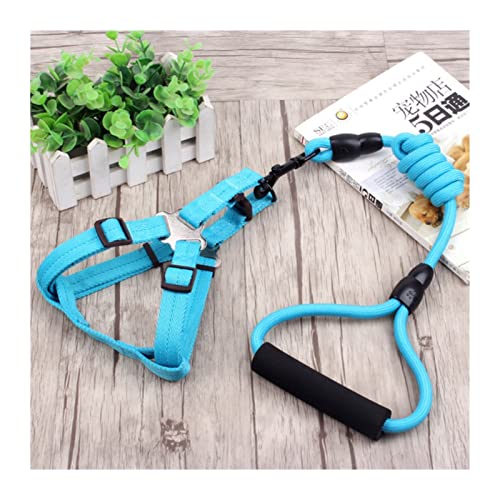 SLAHAJ Hundeleine Hundeleine zum Trainieren 3-teiliges Set Heimtierbedarf Sicherheitsseil Hundeleine Halsband Set Traktionsseil Brustgeschirr(L Blue Leash Harness,L) von SLAHAJ